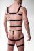 harness set by Grey Velvet