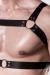 harness set by Grey Velvet