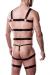 harness set by Grey Velvet